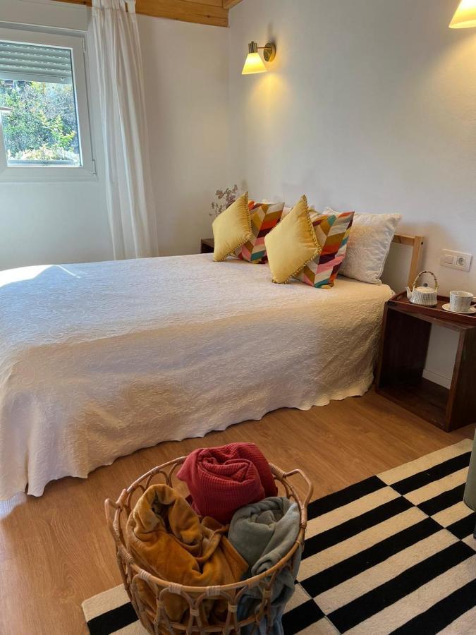 Casa Chano Estudio Confortable Tenerife イコー・デ・ロス・ビノス エクステリア 写真