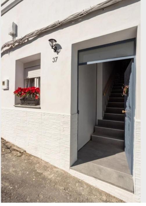 Casa Chano Estudio Confortable Tenerife イコー・デ・ロス・ビノス エクステリア 写真
